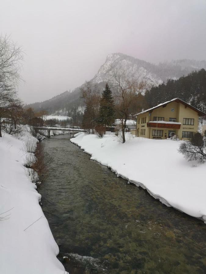 Gasthof Zum Falkenstein Hotel Schwarzau im Gebirge Luaran gambar